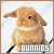 Bunnies Fanlisting