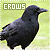 Crows Fanlisting
