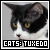 Tuxedo Cats Fanlisting