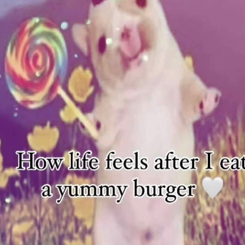 A puppy holding a lollipop in a field of flowers with text that says How life feels after I eat a yummy burger