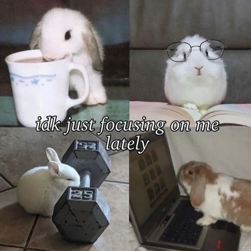 Collage of photos with a white bunny in a cup, a white bunny with glasses reading a book, a white bunny next to a dumbell, and a brown and white bunny sitting on a laptop with text that says idk just focusing on me lately