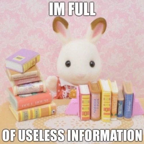 A bunny Calico Critter surrounded by books with text that says I'm full of useless information