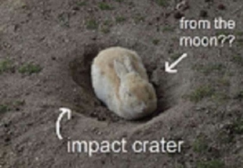 Bunny in dirt with one arrow that says impact crater and another that says from the moon??
