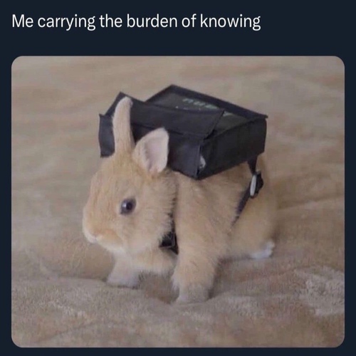 A brown bunny wearing a backpack with text that says me carrying the burden of knowing