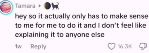 Tiktok comment that says hey so it actually only has to make sense to me for me to do it and I don't feel like explaining it to anyone else