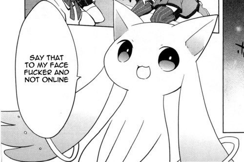 Kyubey from Madoka Magica with text that says say that to my face fucker and not online