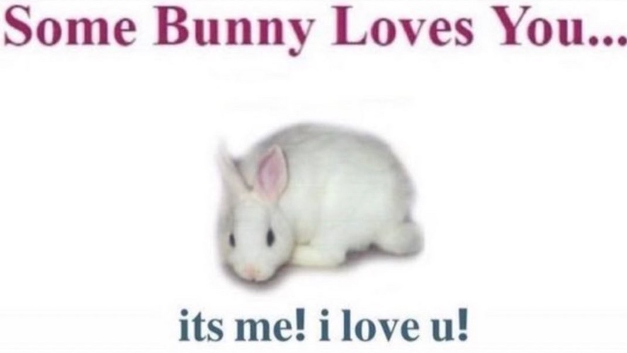 White bunny with text that says Some Bunny Loves You... its me! i love u!