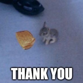 Brown baby bunny at a man's feet with text that says  thank you