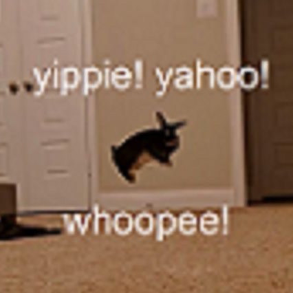 Brown bunny jumping with text that says yippie! yahoo! whoopee!