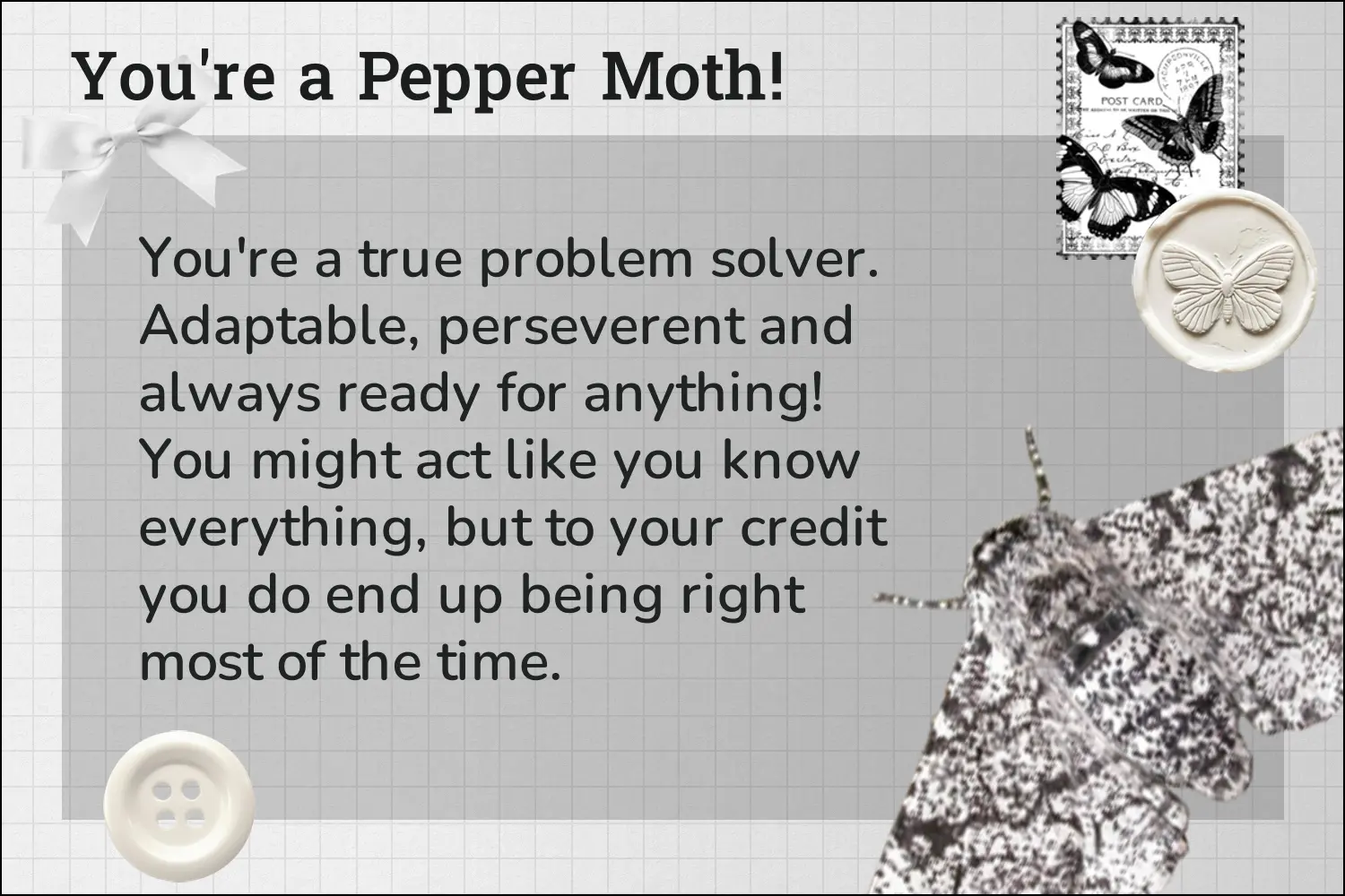 Which moth species are you?