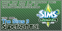 Which The Sims 3 expansion pack are you?