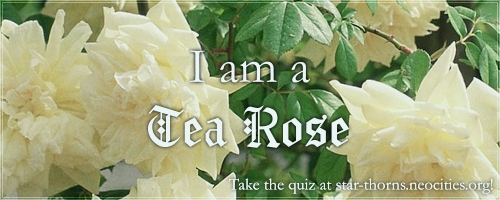 What kind of rose are you?