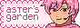 aster's garden