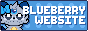 Blueberry Website