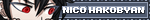 Nico Hakobyan blinkie