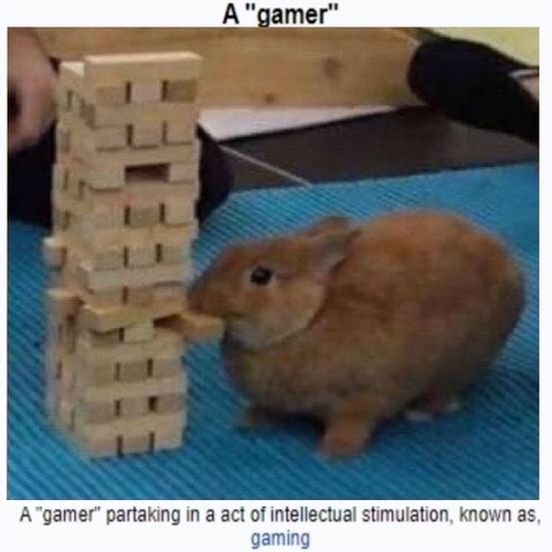 Bunny holding a jenga block with caption a gamer partaking in a act of intellectual stimulation, known as, gaming