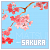 Sakura Fanlisting